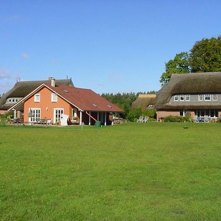 Ferienwohnung Nr 07 Og Spitzboden Born Luaran gambar